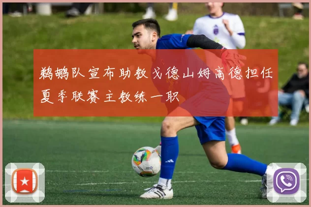 鹈鹕队宣布助教戈德山姆高德担任夏季联赛主教练一职