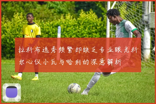 拉科布选秀频繁却缺乏专业眼光科尔心仪小瓦与哈利的深意解析