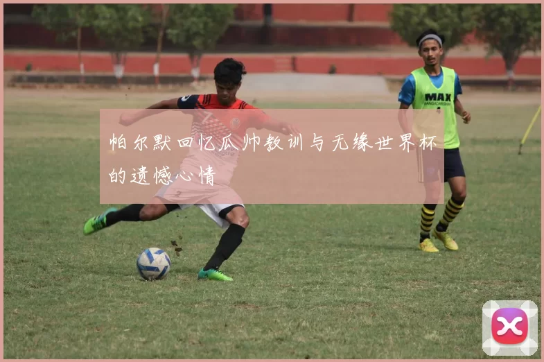 帕尔默回忆瓜帅教训与无缘世界杯的遗憾心情